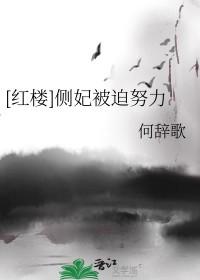 侧妃泪全文阅读