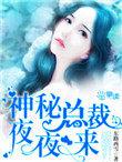 神密总裁夜夜来免费阅读
