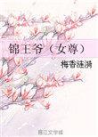锦王爷(女尊)