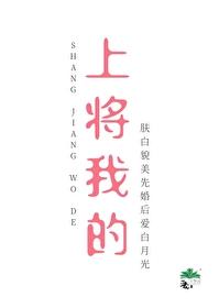 我的上将夫人