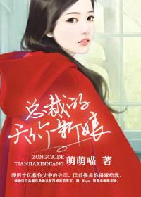 总裁的天价婚宠
