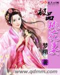 极品桃花命 作者桃花一丁