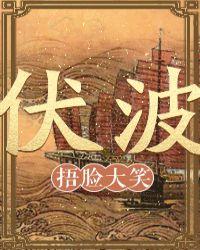 波伏娃是谁