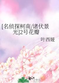 柯南2号boss