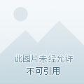 全民领主 我的天赋有亿点强
