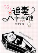追妻八十一难TXT