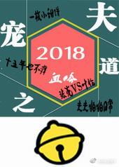 宠夫在线阅读