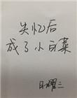 失忆后成了小白菜晋江