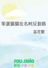 笨猫吧—最新汉化galgame资源|acg绅士游戏论坛