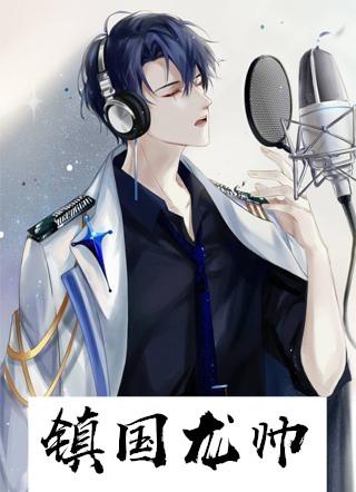 镇国龙帅叶枫全文阅读