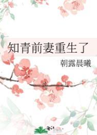 重生 知青