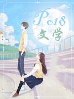 npc在中是什么意思