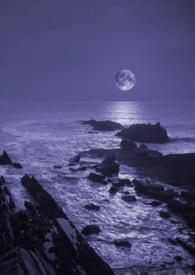 暗夜全文阅读
