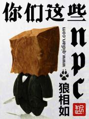 你们这些npc百度百科