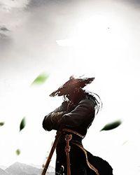 武之影魅武神传说