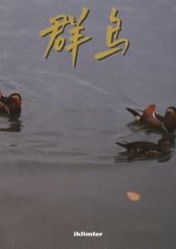 群鸟电影简介