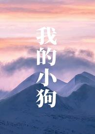 我的小狗2