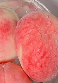 白桃はな中文