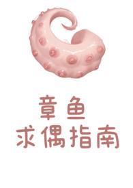 章鱼求偶指南电子书