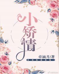 小矫情完结版