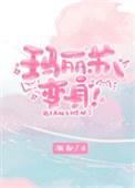 玛丽苏的番