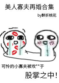 美人寡夫再婚合集在线阅读