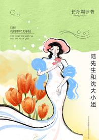 陆先生和沈大小姐by长孙谒罗
