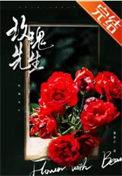玫瑰先生故事简介