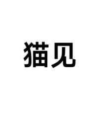 网红猫见见是什么品种