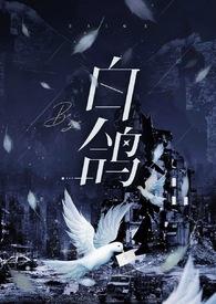 白鸽全集视频