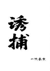 诱捕(高)