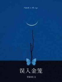 误入金笼作者 贺新郎免费阅读