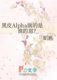 黑皮后续