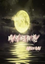 眸中客的意思是什么
