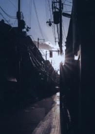 你是我的曙光1v1分卷阅读
