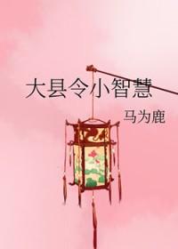 大县令小仵作百度百科