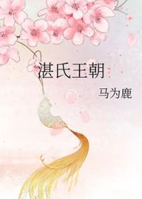 湛姓族谱