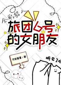 全职猎人旅团团长能力