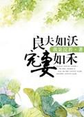 良夫如沃宠妻如禾讲内容