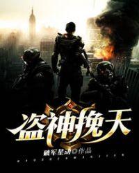 盗神盗王盗帅