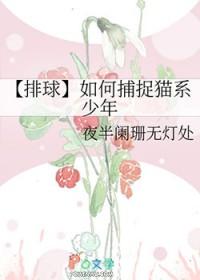 排球少年猫头鹰是谁