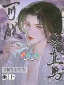 又被N个变态缠上?可朕是直男!第十章删减