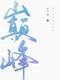 巅峰狗粮