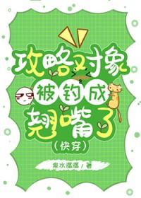 攻略对象出了错