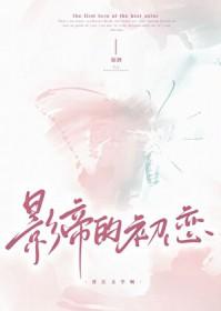 影帝的初恋[破镜重圆