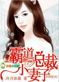 霸道总裁的小妻子txt