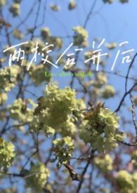 两校合并建议