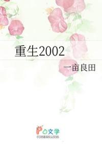 重生在2002年