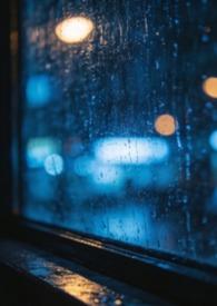 新上司是个天然呆cp