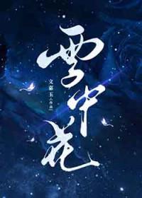 歌曲雪中花
